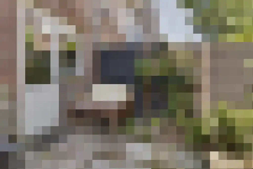 Claes de Vrieselaan 10 B Rotterdam thumbnail 38
