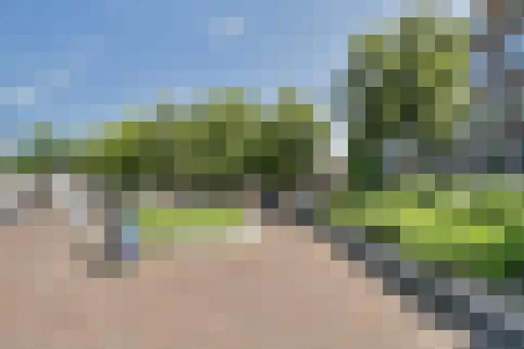 Claes de Vrieselaan 10 B Rotterdam thumbnail 39
