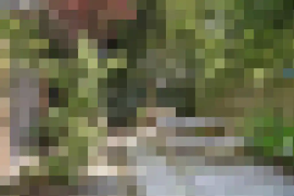 Claes de Vrieselaan 10 B Rotterdam thumbnail 5