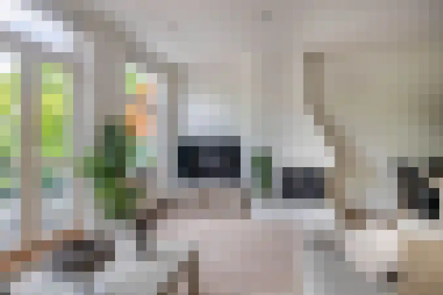 Claes de Vrieselaan 14 B Rotterdam thumbnail 13