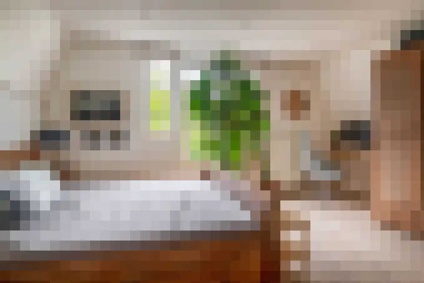 Claes de Vrieselaan 14 B Rotterdam thumbnail 32