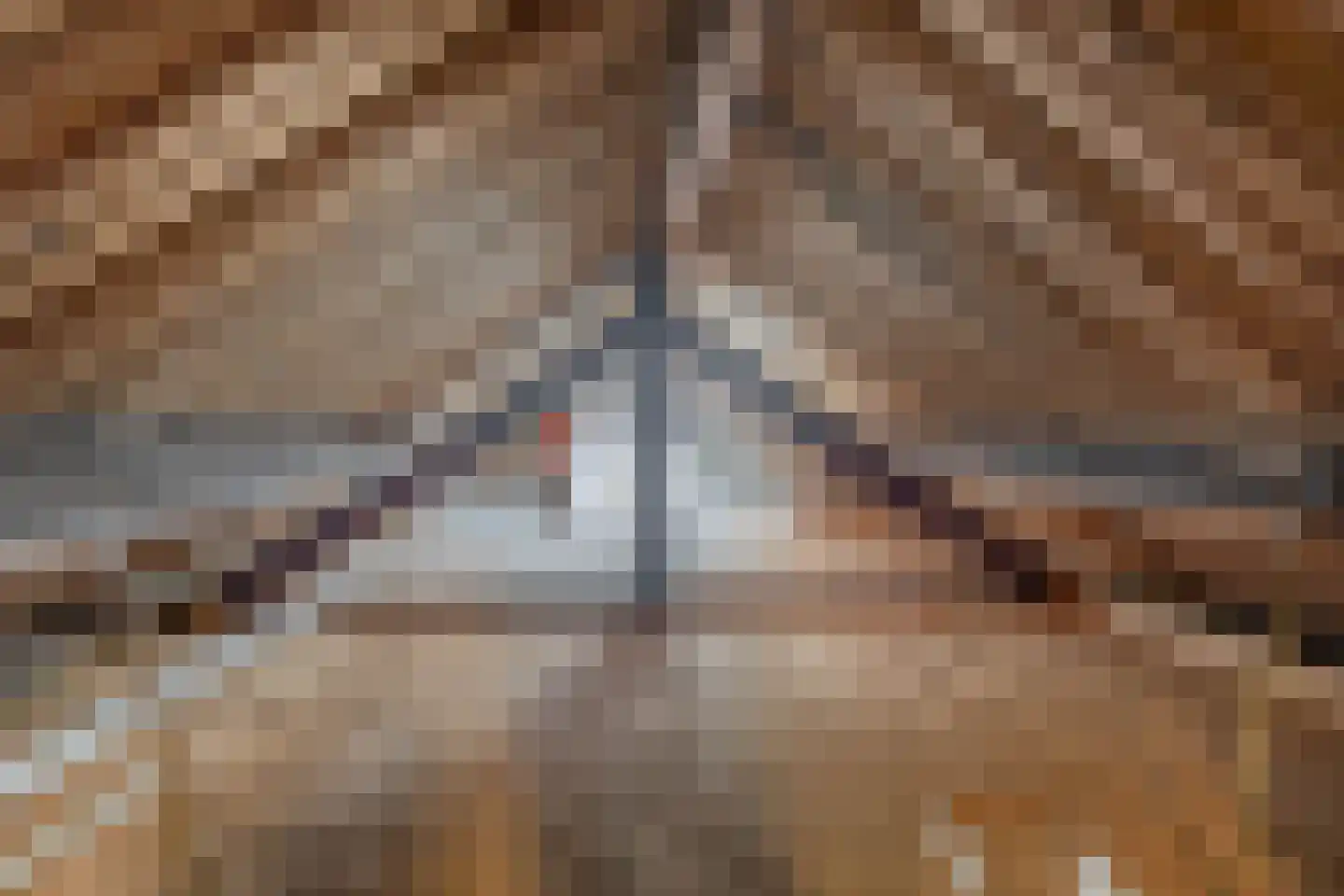 Claes de Vrieselaan 14 B Rotterdam thumbnail 34