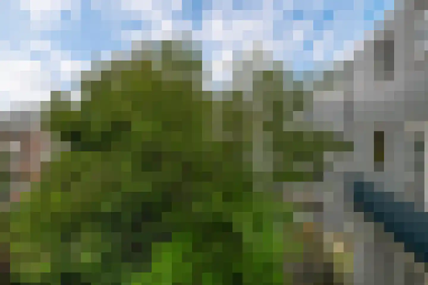 Claes de Vrieselaan 14 B Rotterdam thumbnail 35