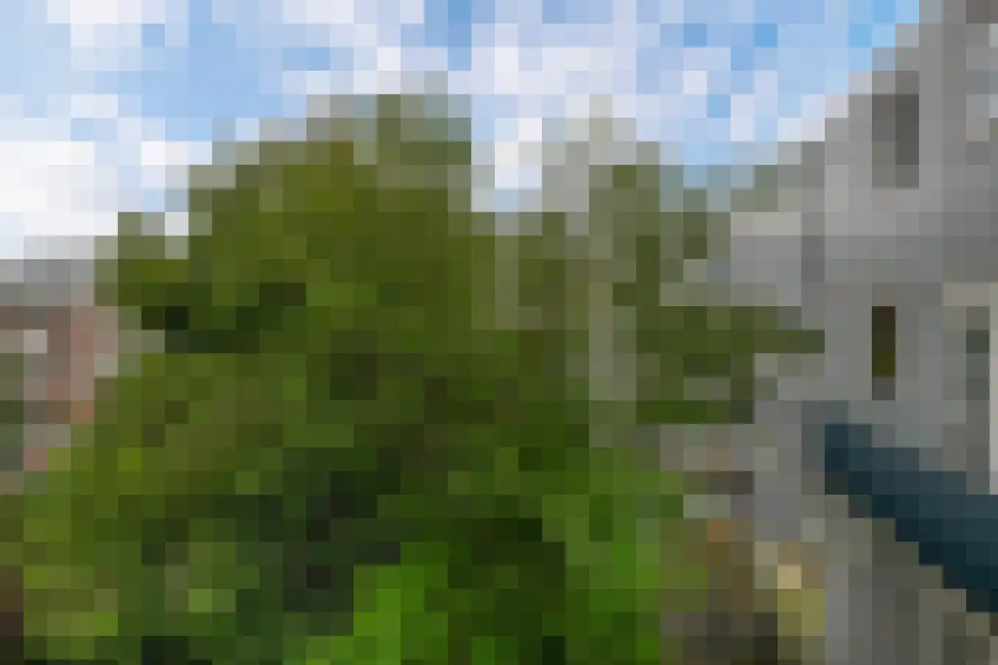 Claes de Vrieselaan 14 B Rotterdam thumbnail 36
