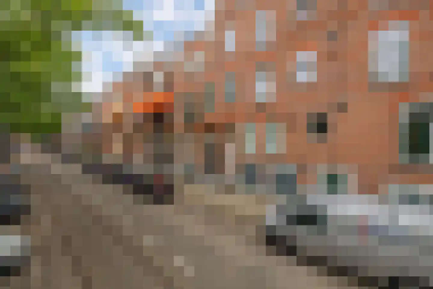Claes de Vrieselaan 14 B Rotterdam thumbnail 37