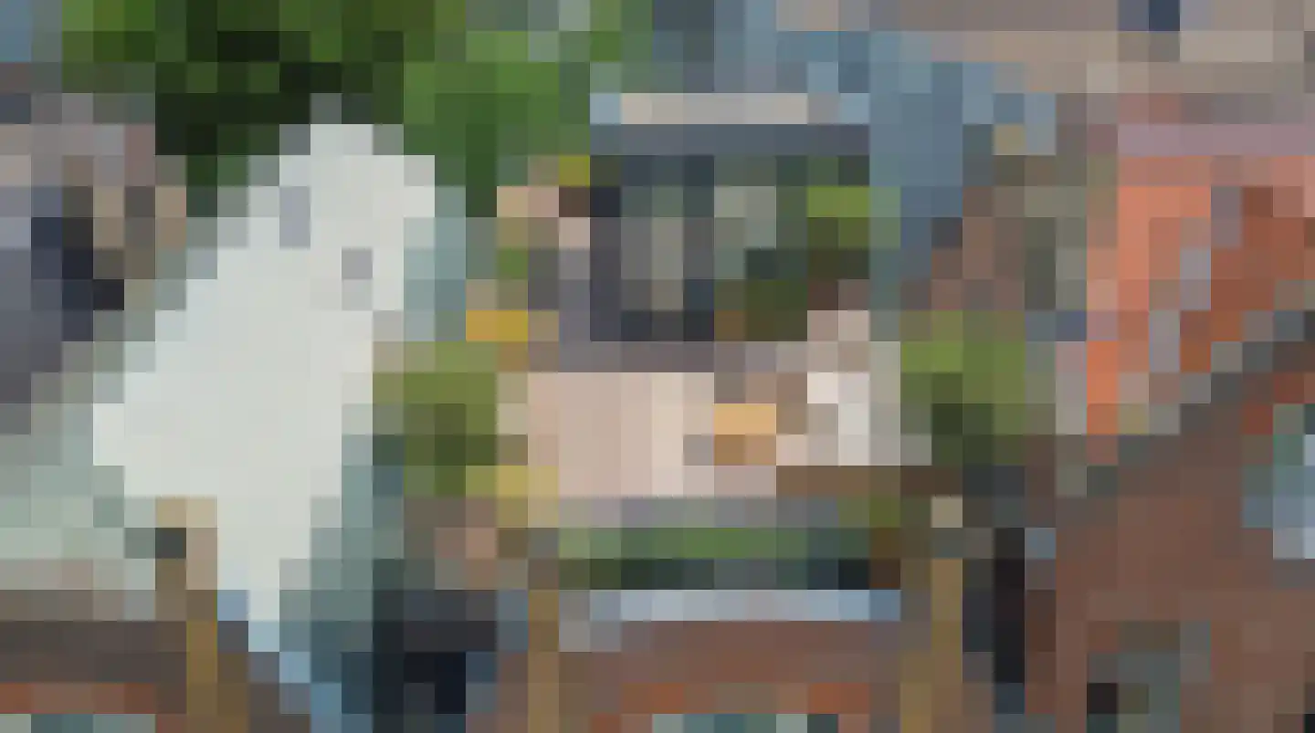 Claes de Vrieselaan 14 B Rotterdam thumbnail 4