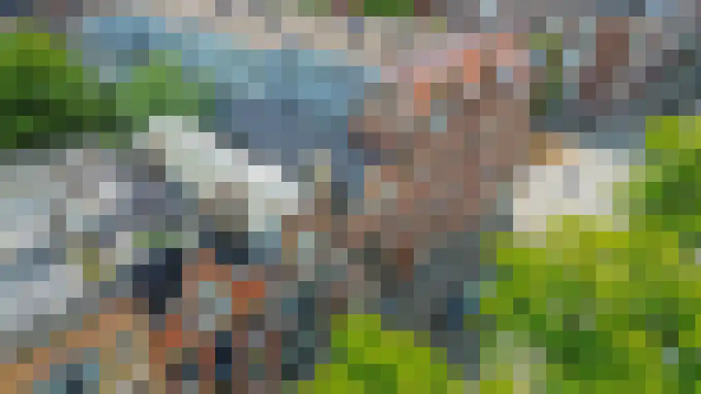 Claes de Vrieselaan 14 B Rotterdam thumbnail 41