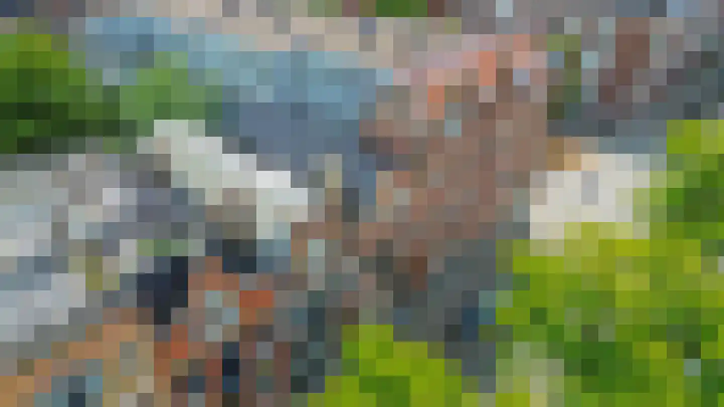 Claes de Vrieselaan 14 B Rotterdam thumbnail 42
