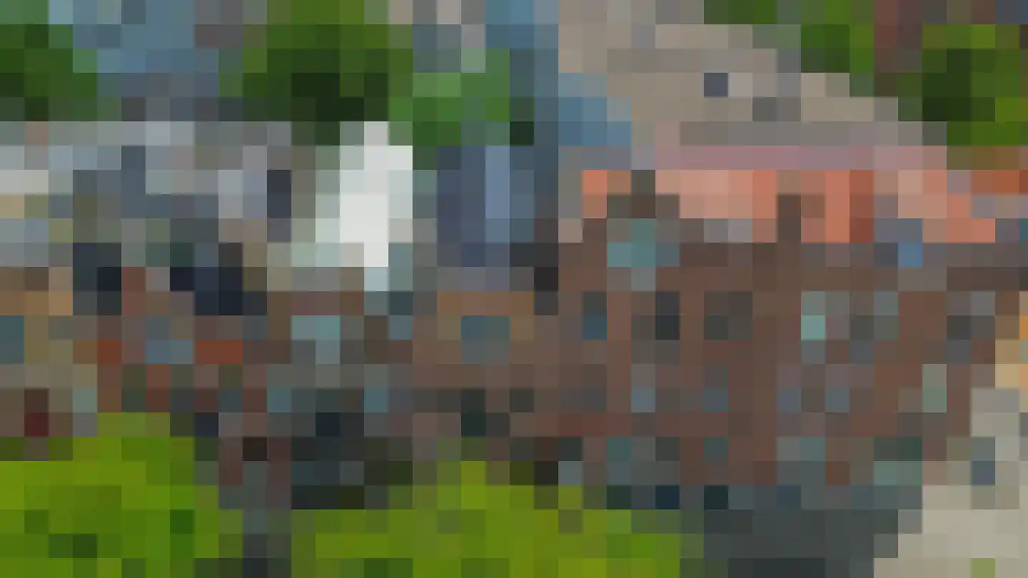 Claes de Vrieselaan 14 B Rotterdam thumbnail 43
