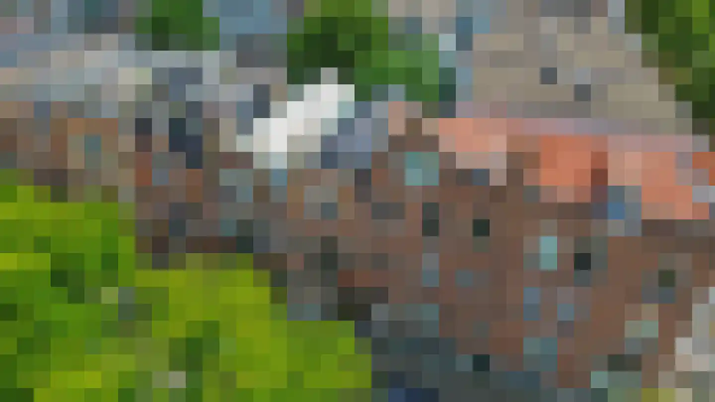 Claes de Vrieselaan 14 B Rotterdam thumbnail 44