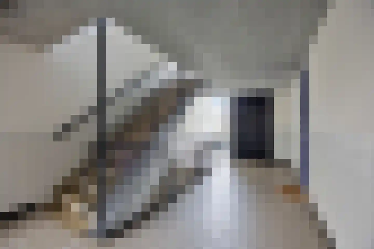 Claes de Vrieselaan 149 Rotterdam thumbnail 30