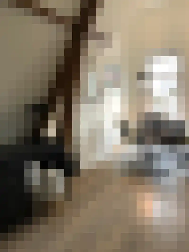 Claes de Vrieselaan 15 Rotterdam thumbnail 4