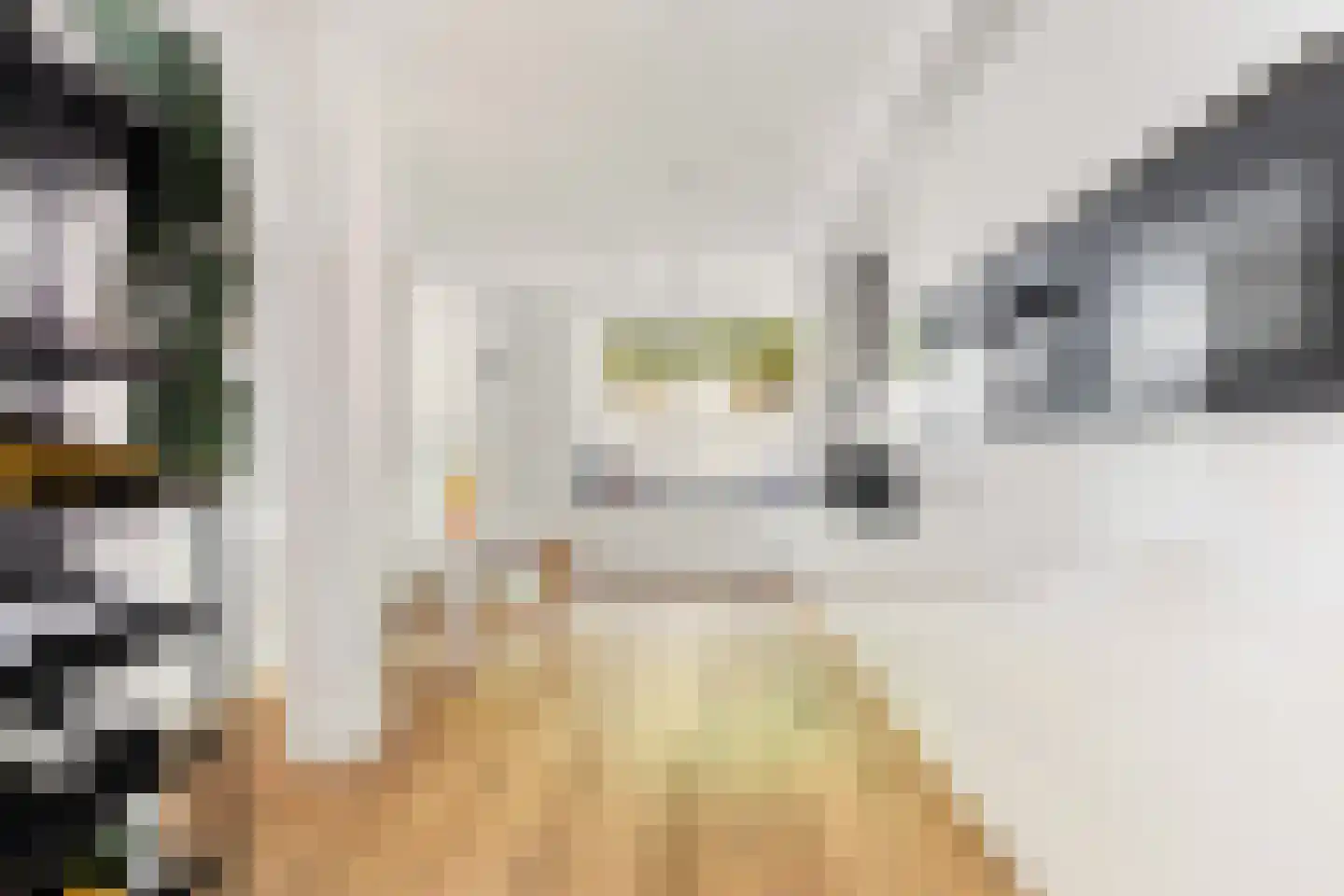 Claes de Vrieselaan 160 A Rotterdam thumbnail 16