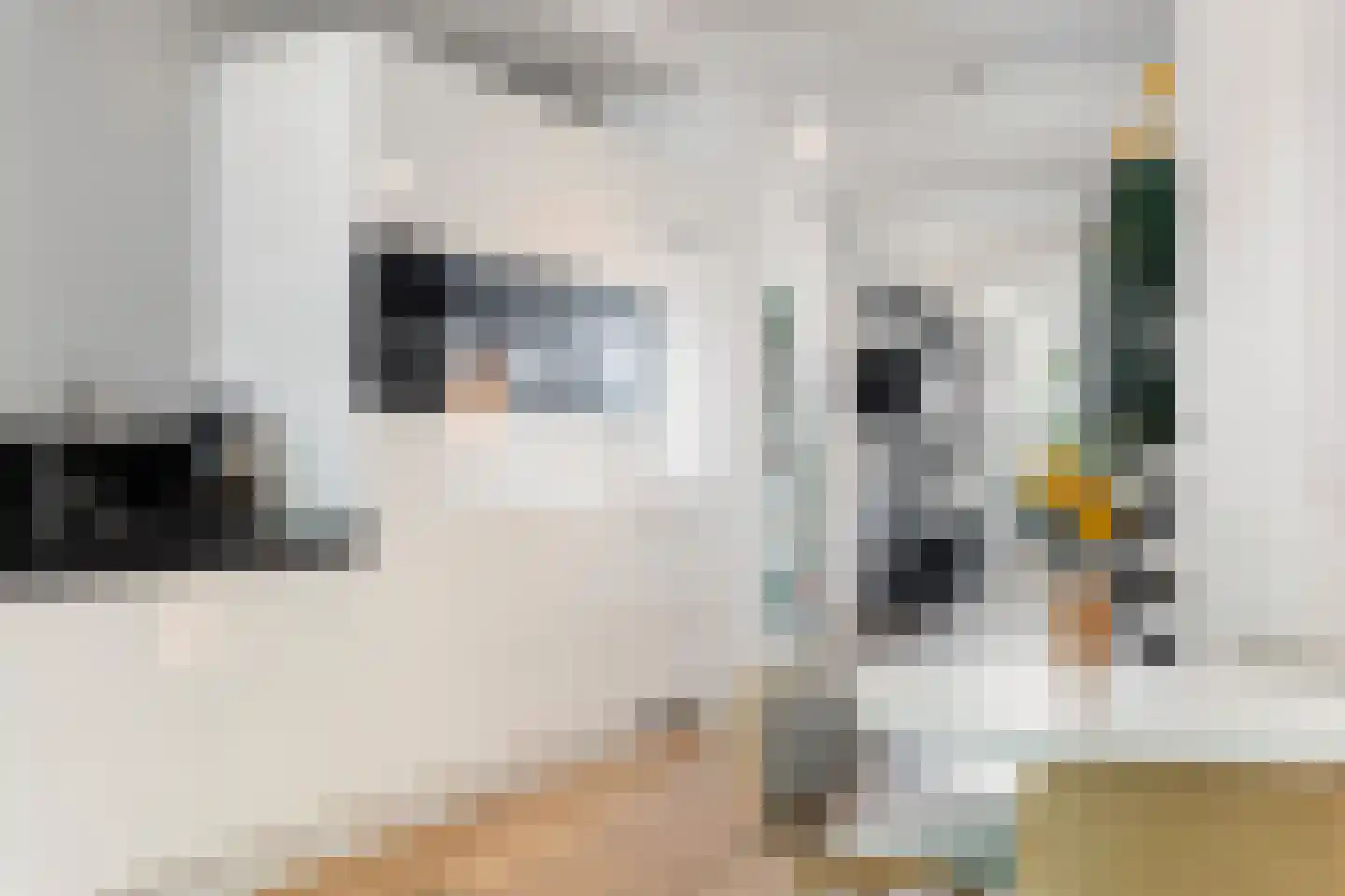 Claes de Vrieselaan 160 A Rotterdam thumbnail 19