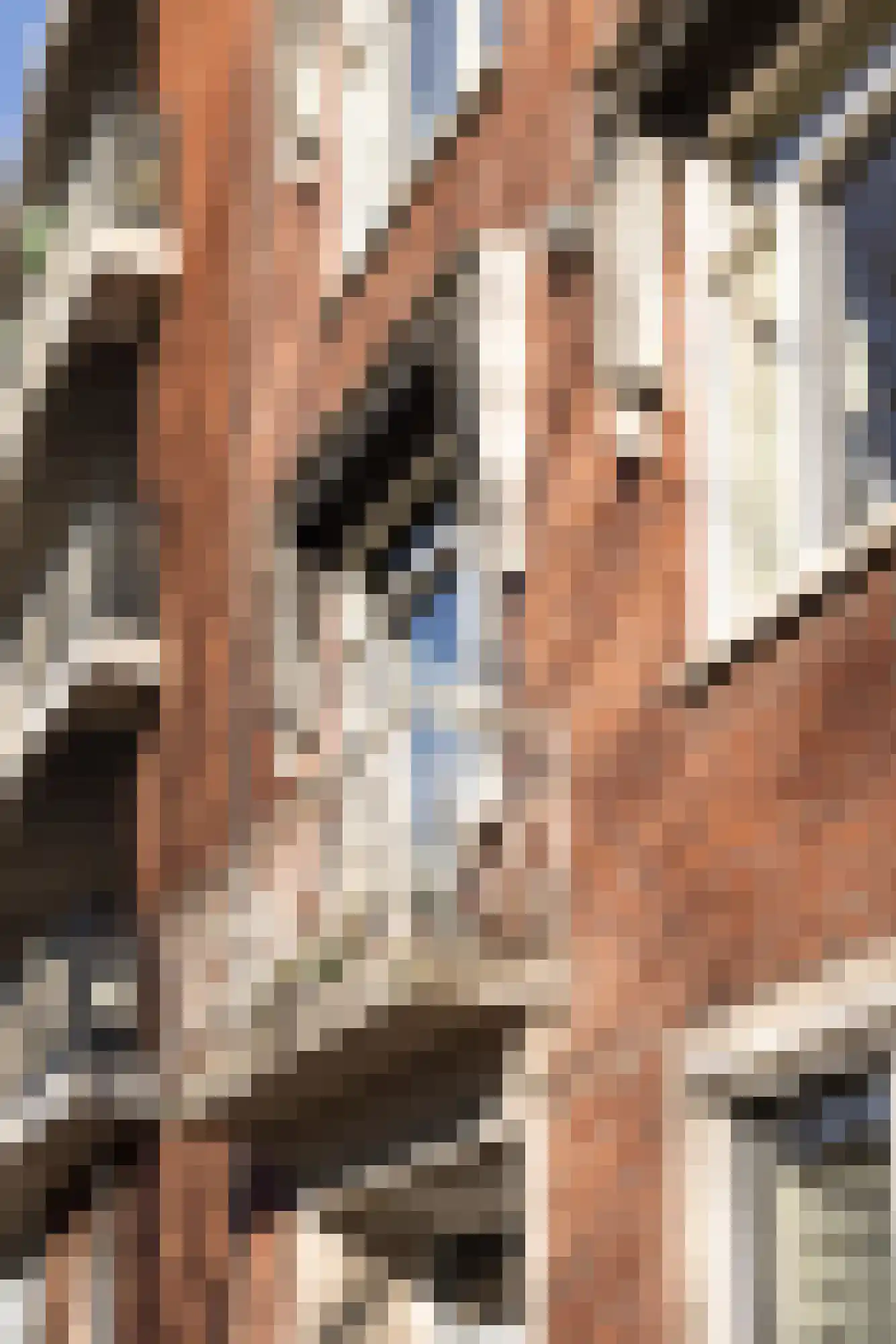 Claes de Vrieselaan 160 A Rotterdam thumbnail 21