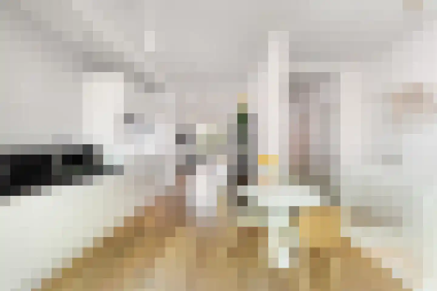 Claes de Vrieselaan 160 A Rotterdam thumbnail 22