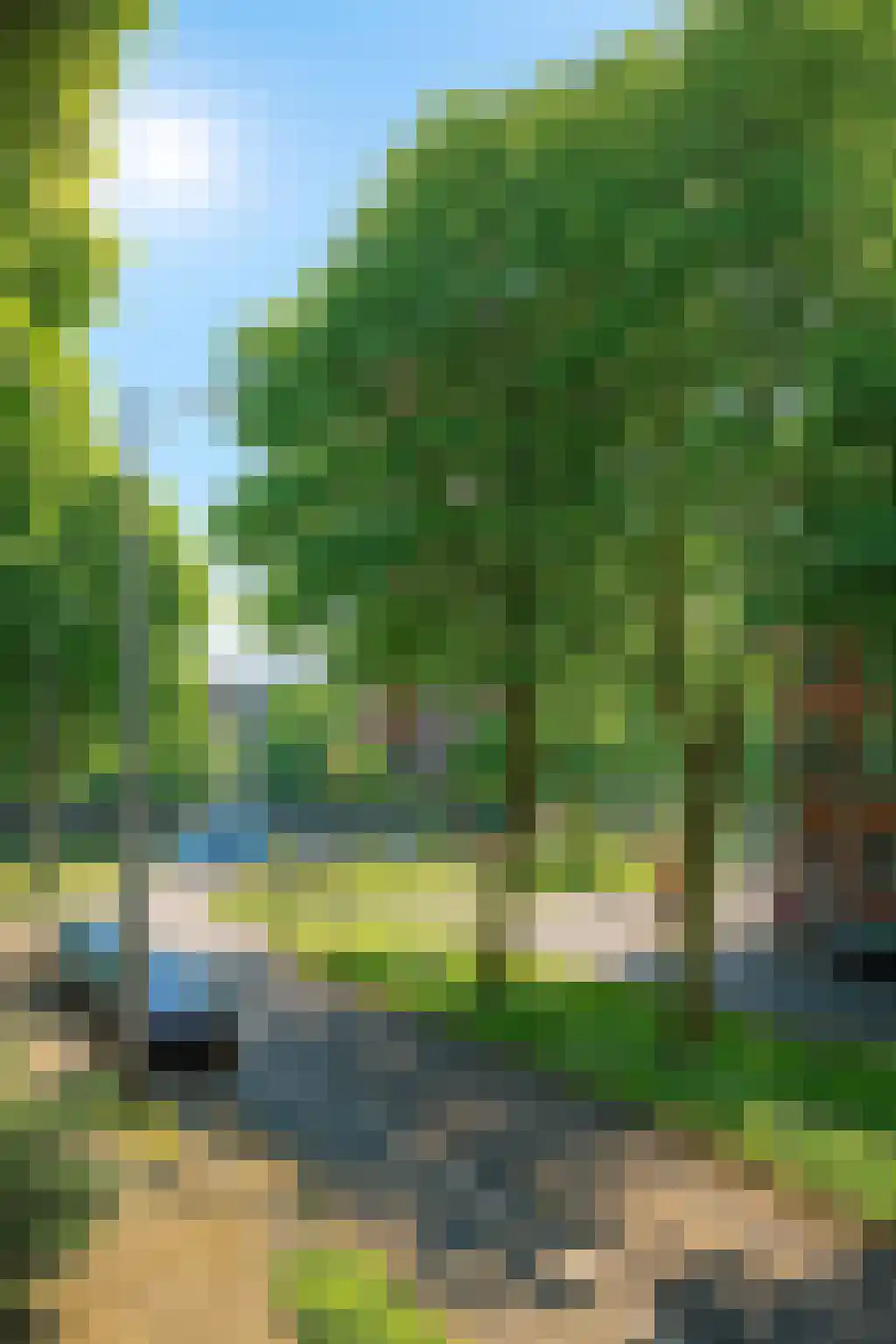 Claes de Vrieselaan 160 A Rotterdam thumbnail 22