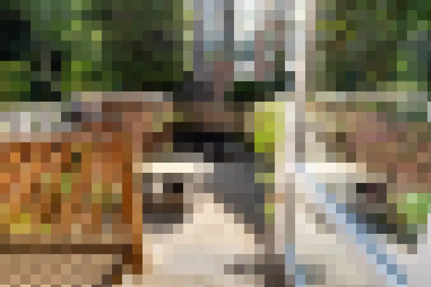 Claes de Vrieselaan 160 A Rotterdam thumbnail 24