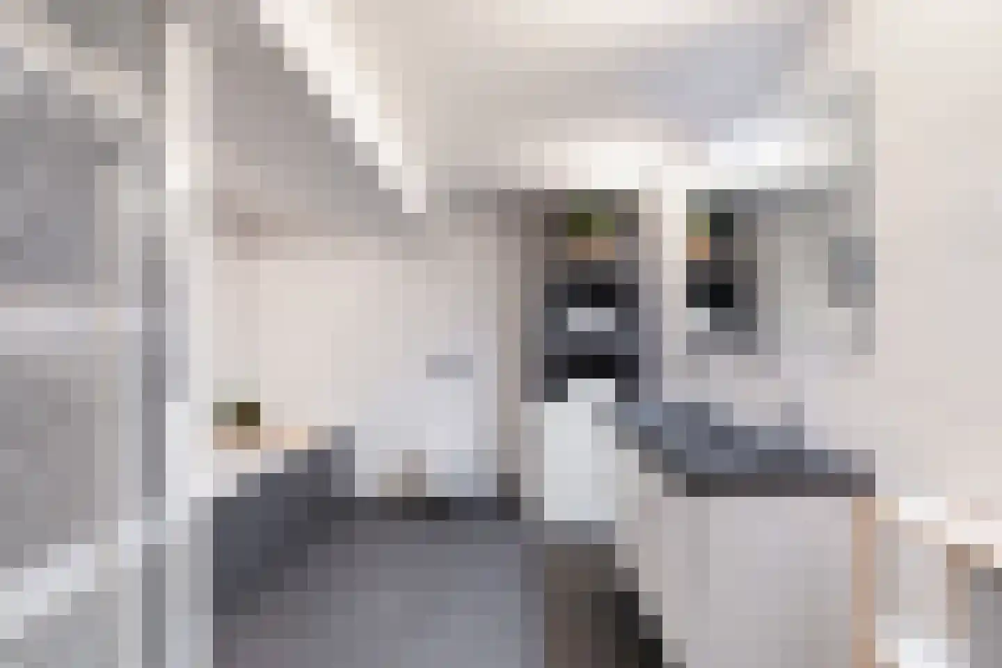 Claes de Vrieselaan 160 A Rotterdam thumbnail 41