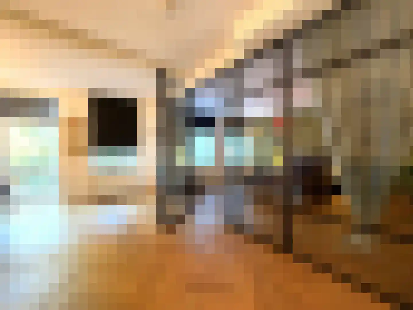 Claes de Vrieselaan 160 B 01 Rotterdam thumbnail 17