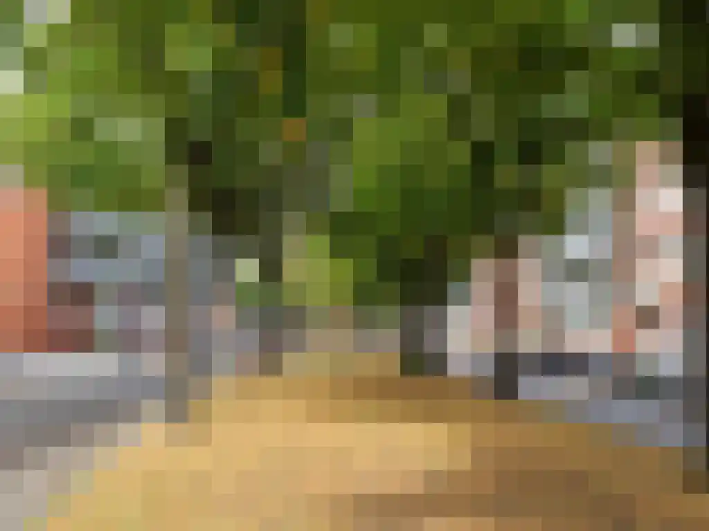 Claes de Vrieselaan 160 B 01 Rotterdam thumbnail 38