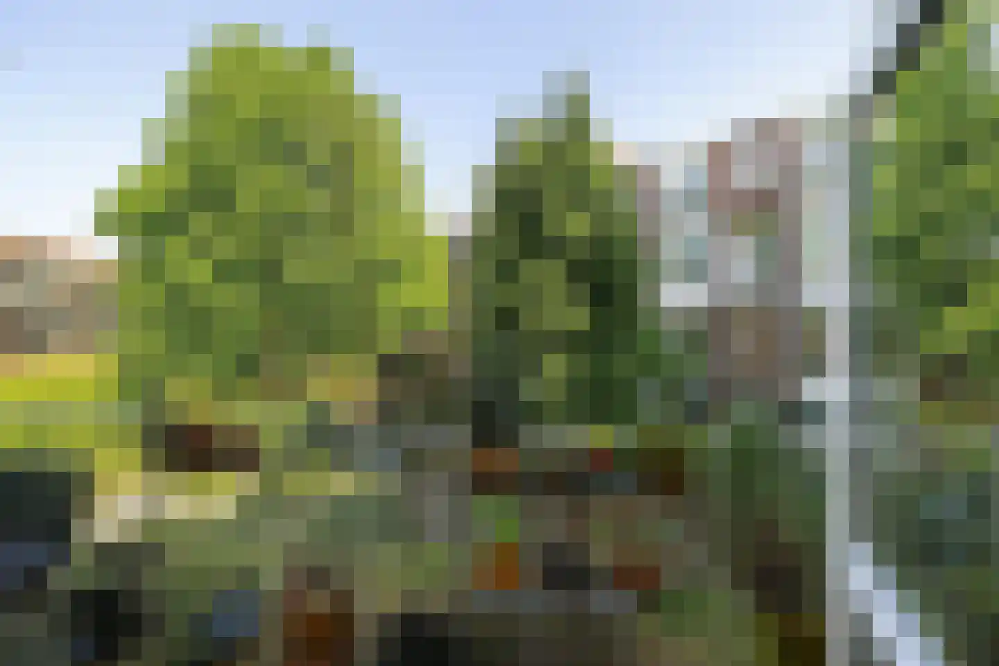 Claes de Vrieselaan 160 C Rotterdam thumbnail 10
