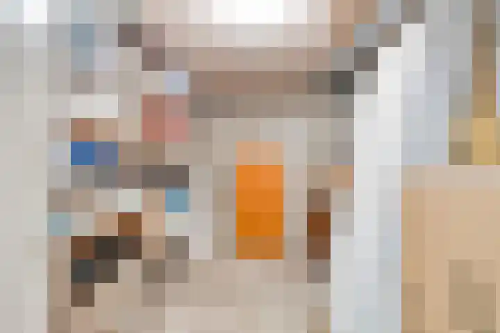 Claes de Vrieselaan 161 Rotterdam thumbnail 25
