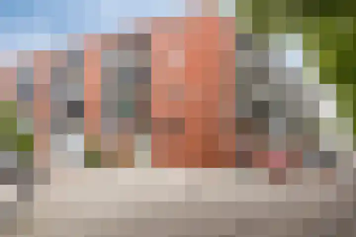 Claes de Vrieselaan 161 Rotterdam thumbnail 29