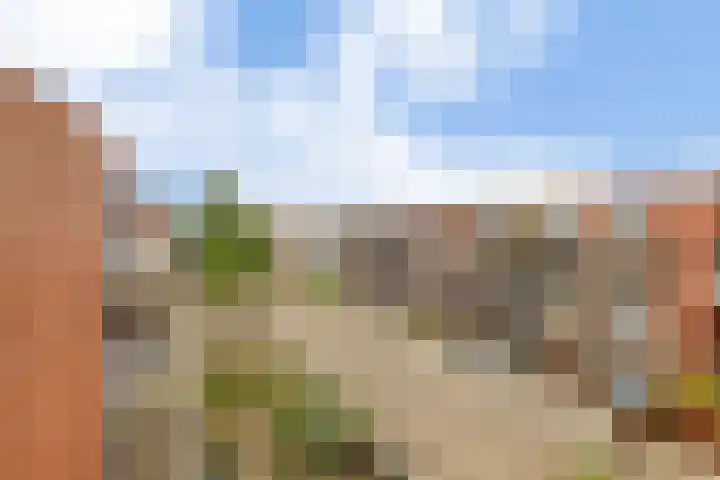 Claes de Vrieselaan 161 Rotterdam thumbnail 31