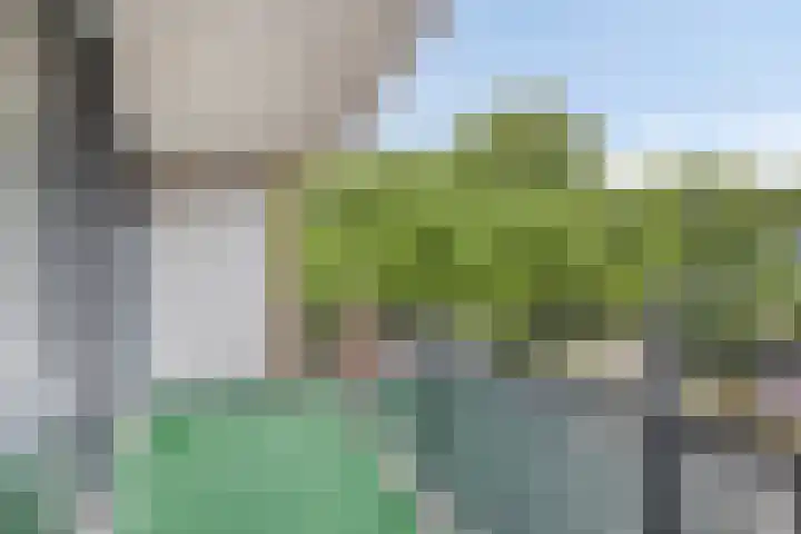 Claes de Vrieselaan 161 Rotterdam thumbnail 4