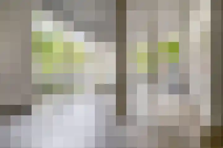 Claes de Vrieselaan 161 Rotterdam thumbnail 5