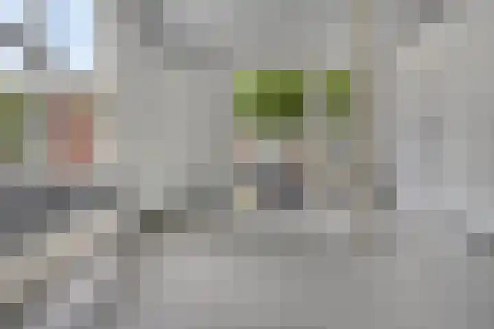 Claes de Vrieselaan 161 Rotterdam thumbnail 6