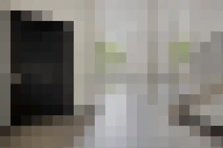 Claes de Vrieselaan 161 Rotterdam thumbnail 7