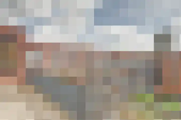 Claes de Vrieselaan 173 Rotterdam thumbnail 16