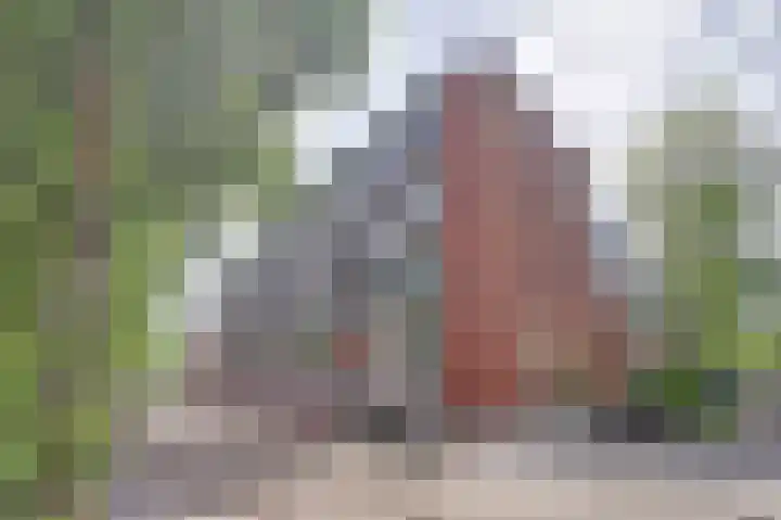 Claes de Vrieselaan 173 Rotterdam thumbnail 23