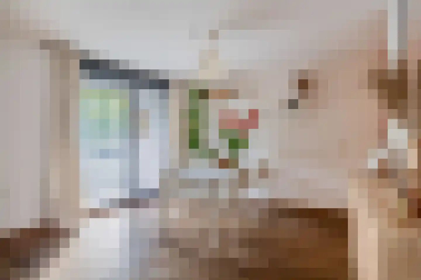 Claes de Vrieselaan 203 Rotterdam thumbnail 12