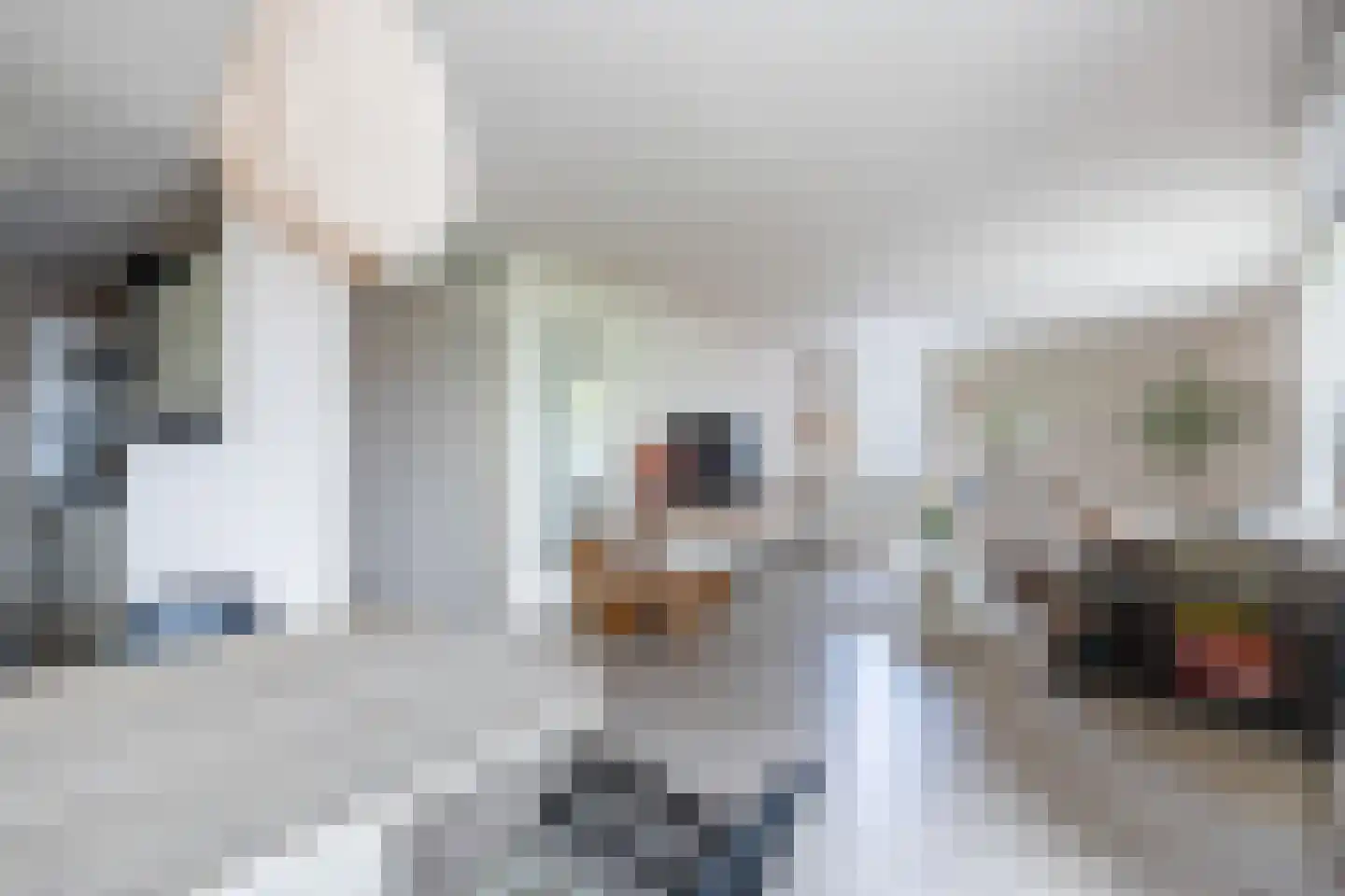 Claes de Vrieselaan 223 Rotterdam thumbnail 20