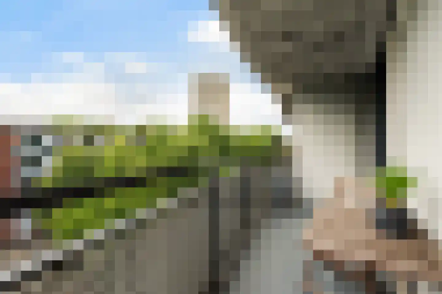 Claes de Vrieselaan 223 Rotterdam thumbnail 25