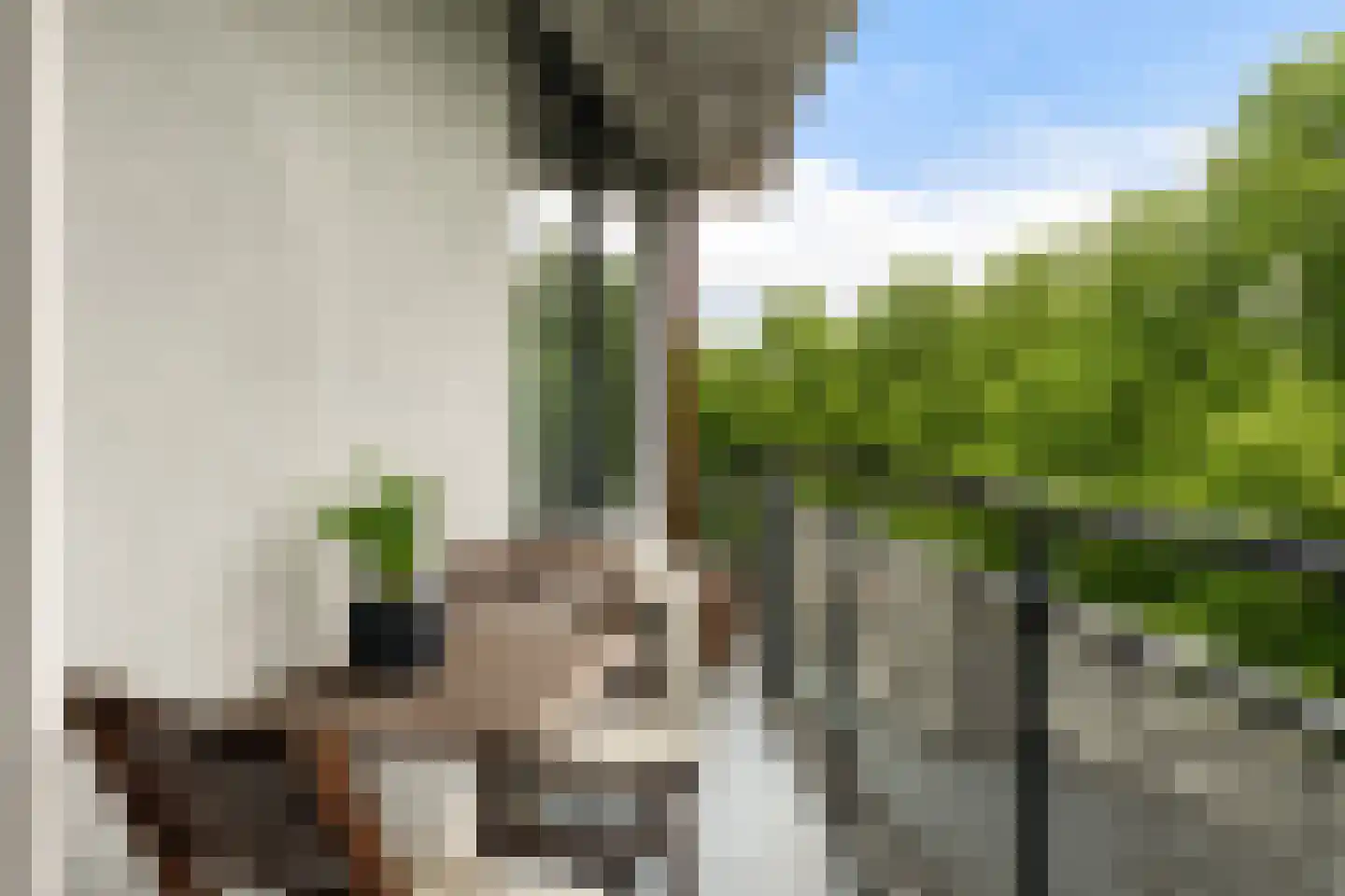 Claes de Vrieselaan 223 Rotterdam thumbnail 26