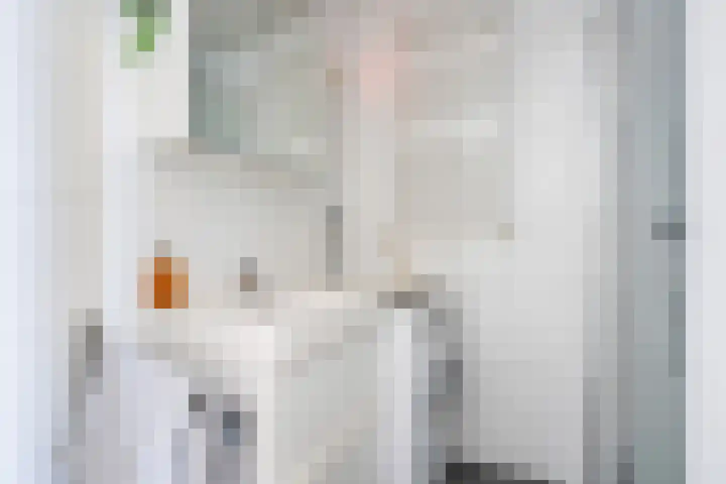 Claes de Vrieselaan 223 Rotterdam thumbnail 30