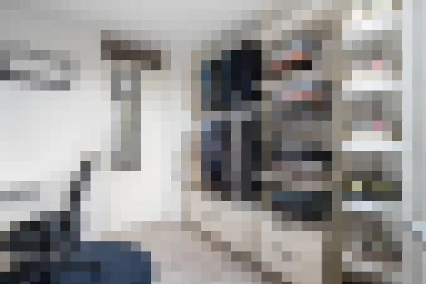 Claes de Vrieselaan 223 Rotterdam thumbnail 33