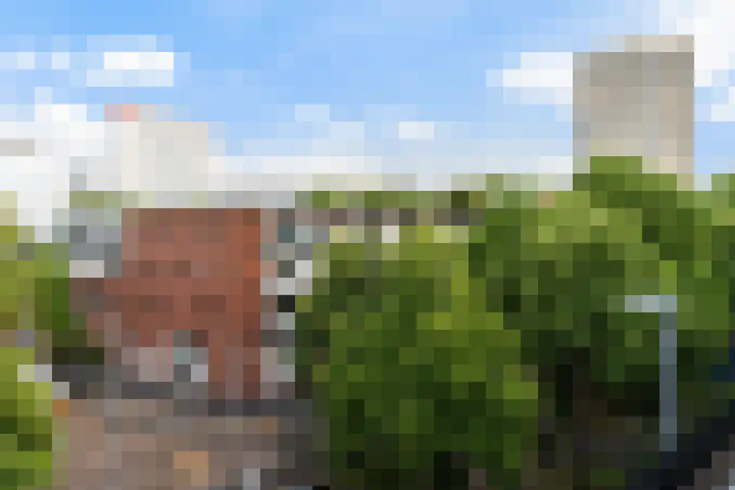 Claes de Vrieselaan 223 Rotterdam thumbnail 5