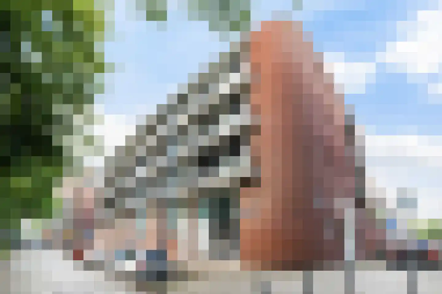 Claes de Vrieselaan 223 Rotterdam thumbnail 6
