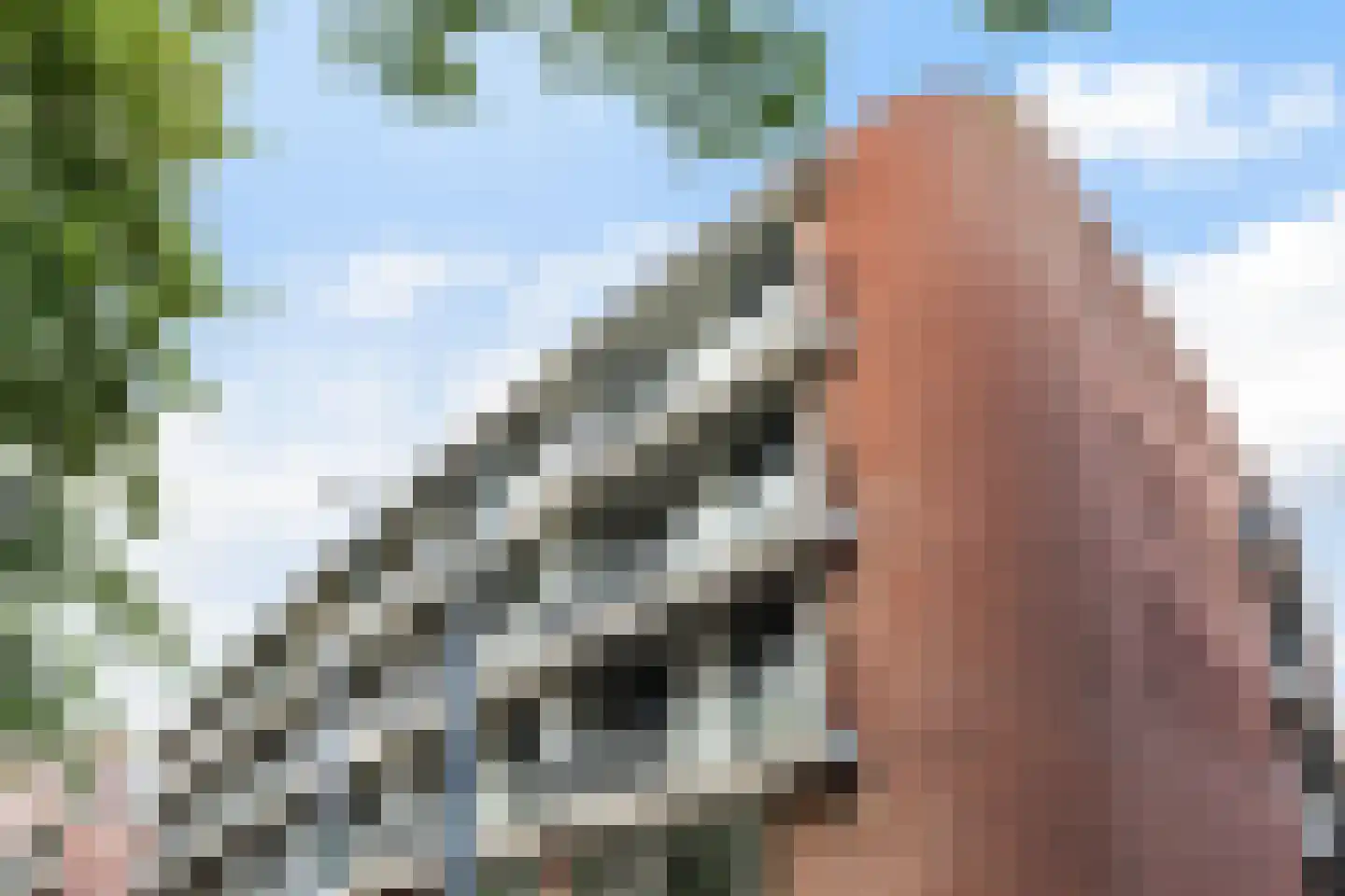Claes de Vrieselaan 223 Rotterdam thumbnail 7