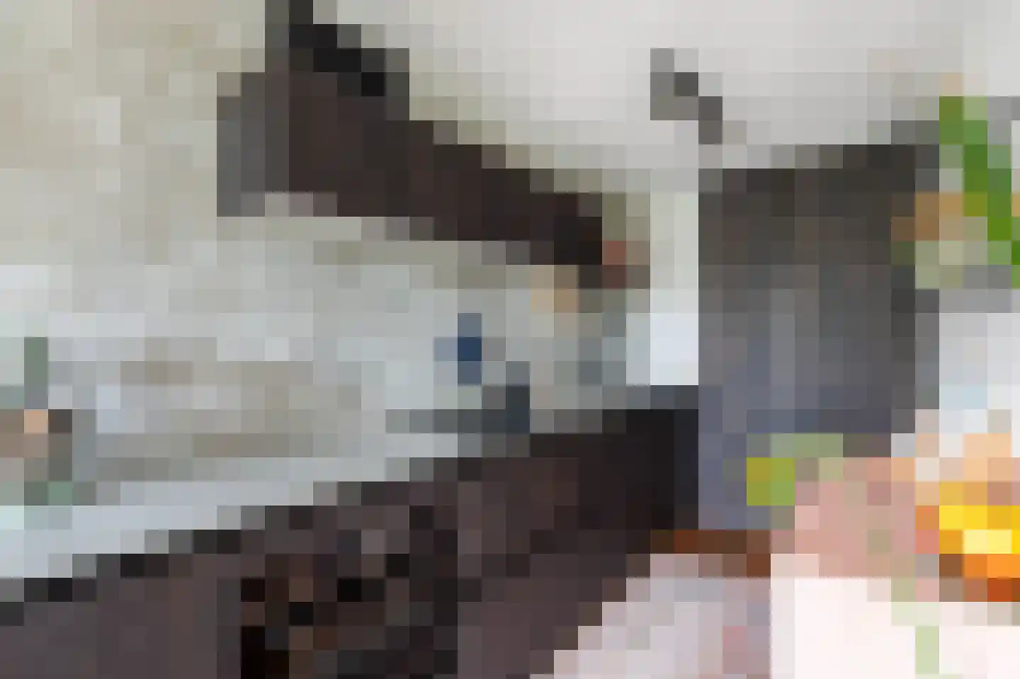 Claes de Vrieselaan 227 Rotterdam thumbnail 13