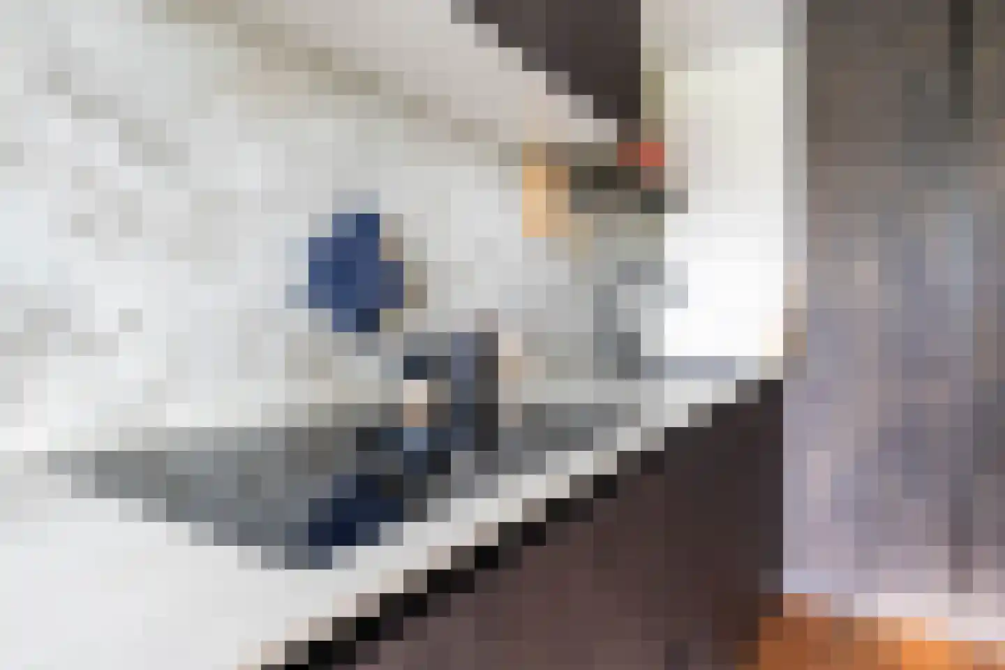 Claes de Vrieselaan 227 Rotterdam thumbnail 17