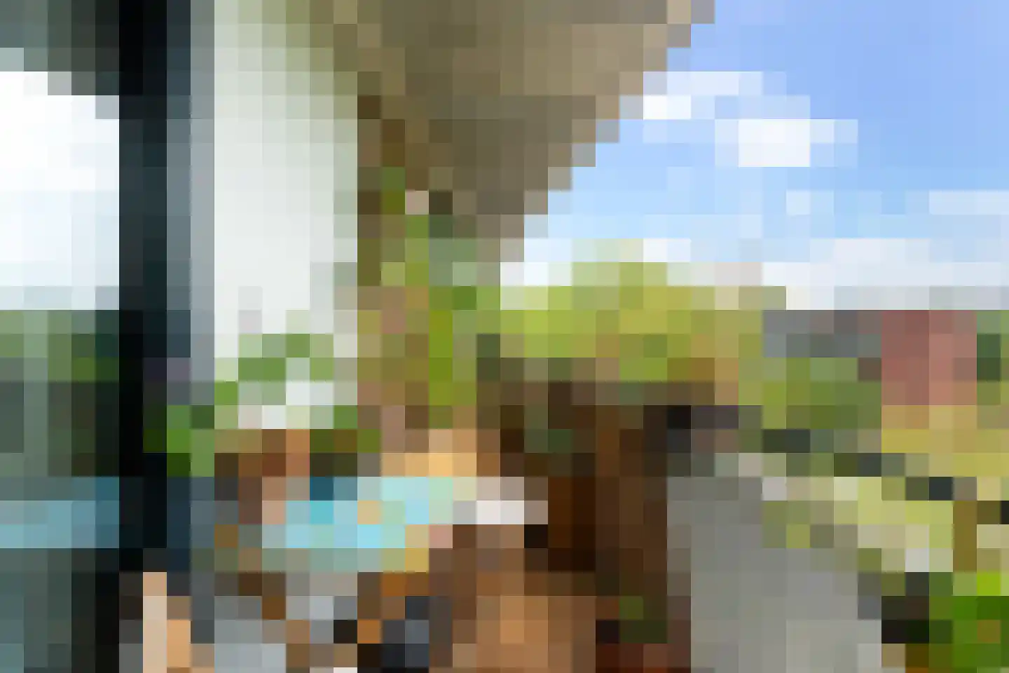 Claes de Vrieselaan 227 Rotterdam thumbnail 19