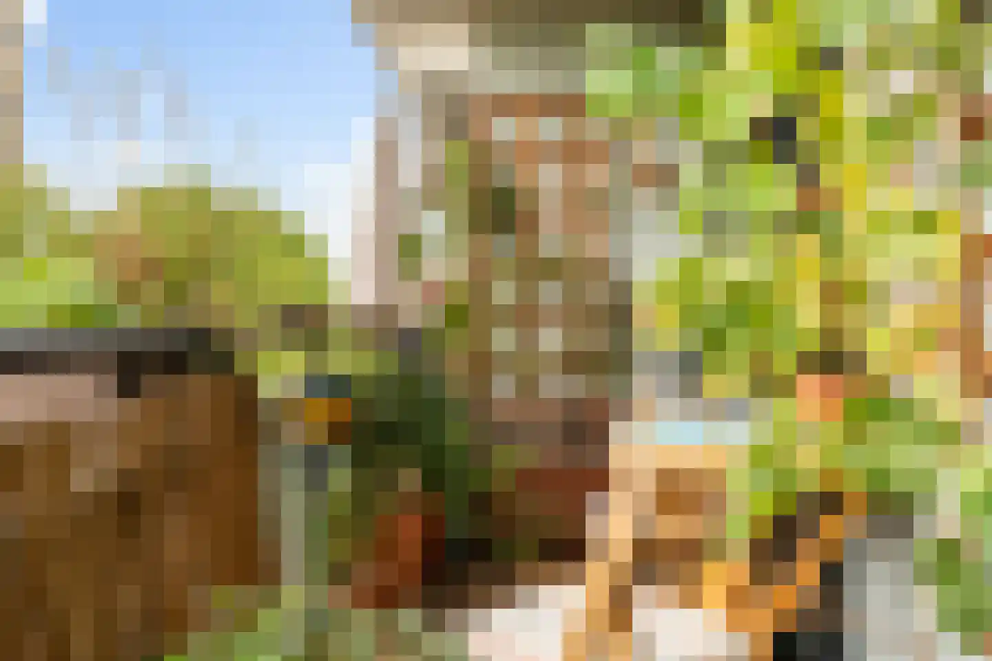 Claes de Vrieselaan 227 Rotterdam thumbnail 20