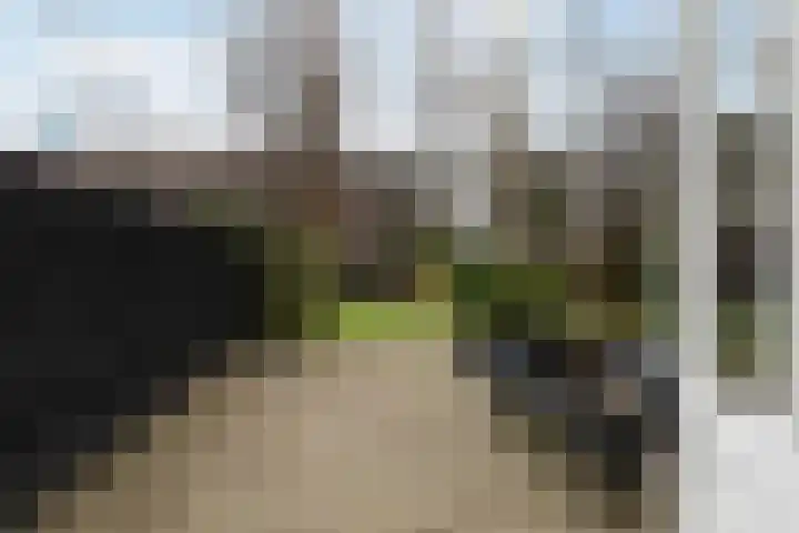 Claes de Vrieselaan 30 B Rotterdam thumbnail 23