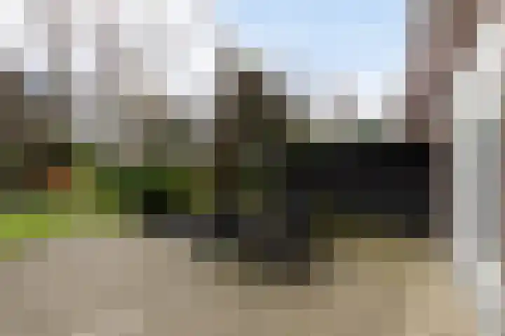 Claes de Vrieselaan 30 B Rotterdam thumbnail 24